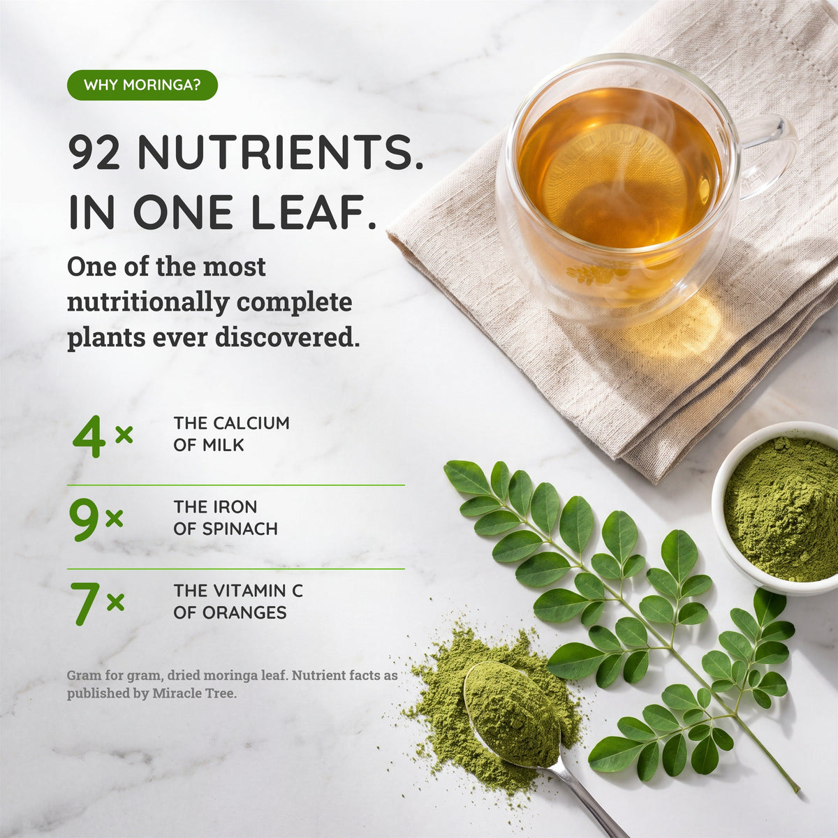 Organic Moringa Tea - Original - Caffeine-Free Herbal Tea